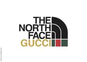 collaborazioni: guccixnorthface