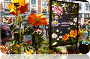 vetrina allestita con fiori giganti